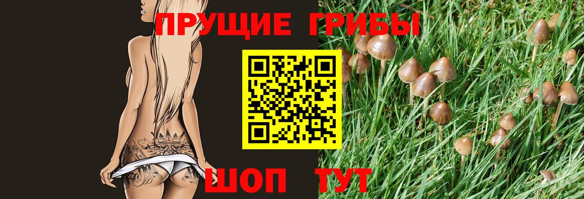 Галлюциногенные грибы Magic Shrooms  Вход с VPN  Пушкино 