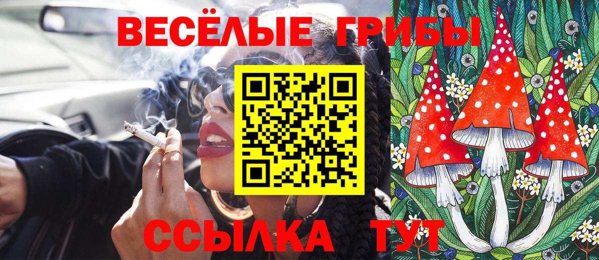 Галлюциногенные грибы прущие грибы Пушкино